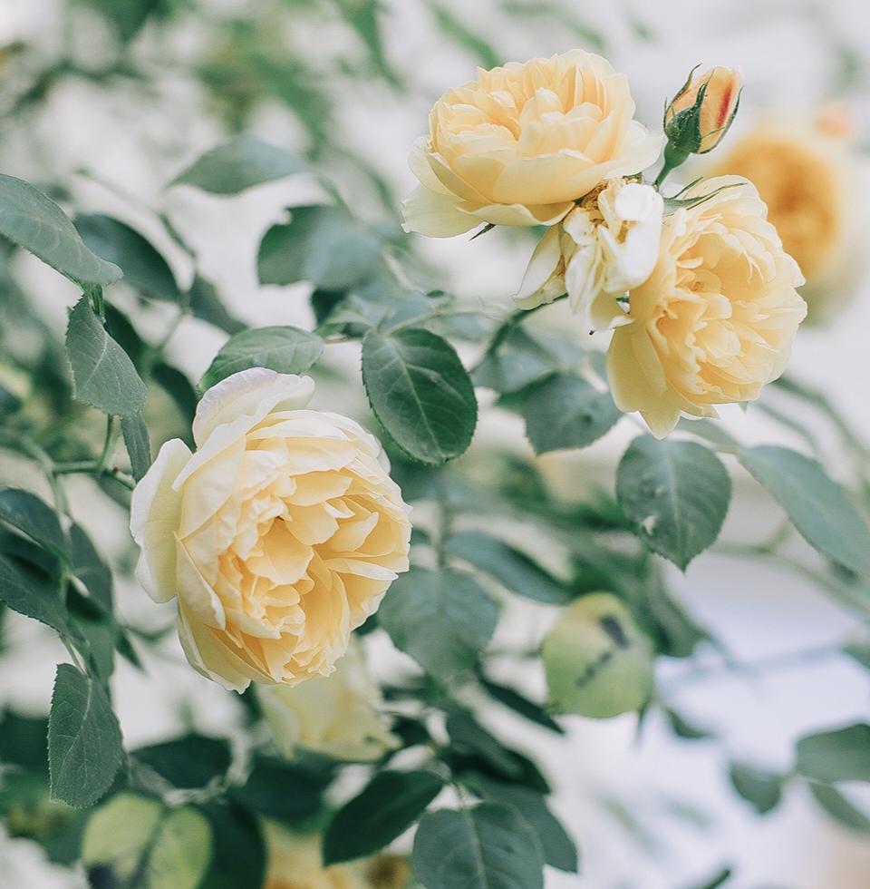 说说对于中国是世界上最安全的国家的看法