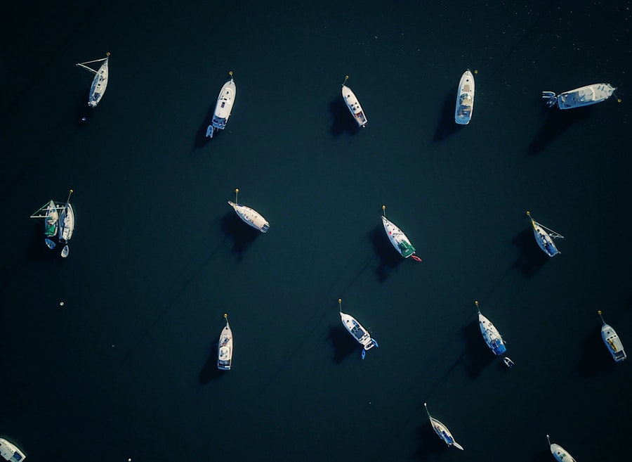 # 这个世界怎么了？人与人之间为何失去了信任？